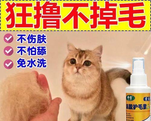 当宠物猫毛入口——如何处理食入宠物毛发的情况（宠物的毛发成为食材后）