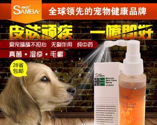 如何治疗宠物身上的犬螨（了解犬螨症状及治疗方法）