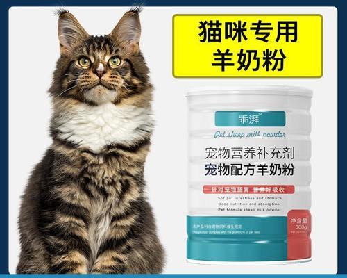 如何处理不喝奶的小猫（以人工补奶为主的宠物护理技巧）