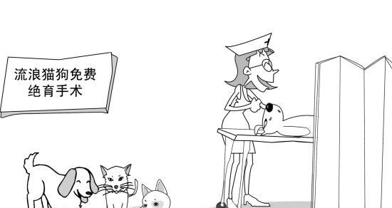 猫咪发情期的全面解析