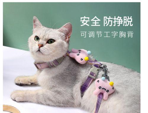 猫咪乳房肿胀，如何解决（宠物母猫可能面临的困扰和应对方法）