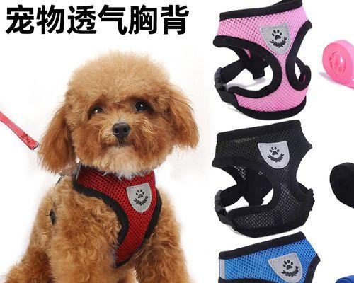 猫咪乳房肿胀，如何解决（宠物母猫可能面临的困扰和应对方法）