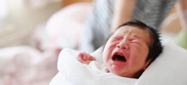 狗狗肠痉挛是什么症状？如何识别和处理？