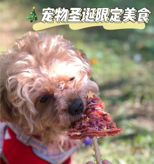 狗狗误食蚊香后怎么办？如何处理和预防？