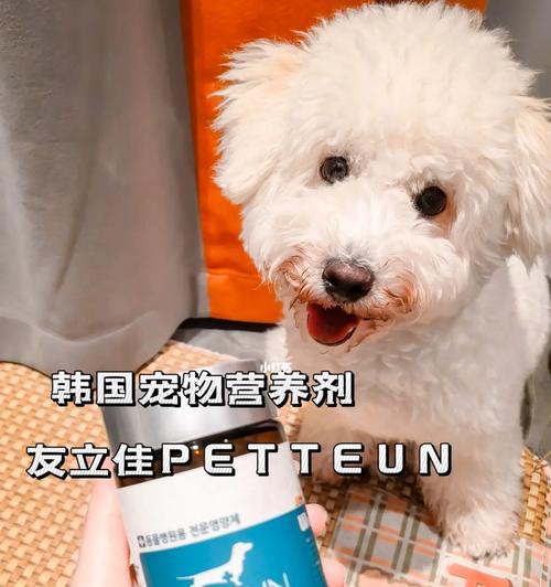 狗狗吃什么补充营养？如何选择合适的营养食品？