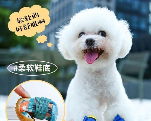 狗狗吃什么可以避免怀孕？有哪些安全的食物选择？