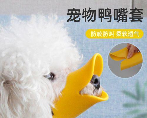 狗狗抽搐并伴有叫声怎么办？可能的原因及治疗方法是什么？