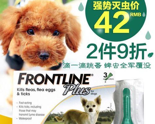 狗狗打虫药怎么吃？正确使用方法和注意事项是什么？