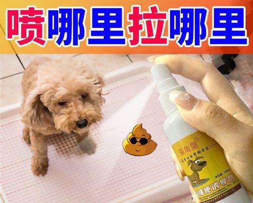 狗狗大便发粘是什么原因？如何解决？