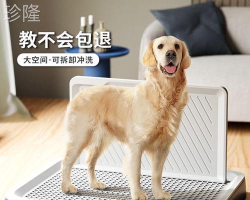 狗狗大便发粘是什么原因？如何解决？
