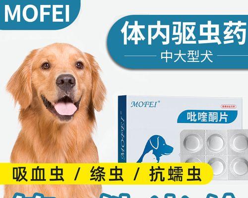 狗狗的驱虫药怎么喂？正确的喂药方法和注意事项是什么？