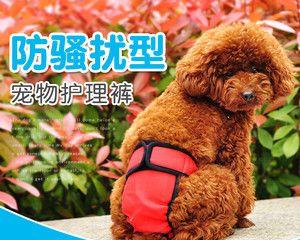 狗狗的生理裤多少钱？购买时需要注意哪些问题？