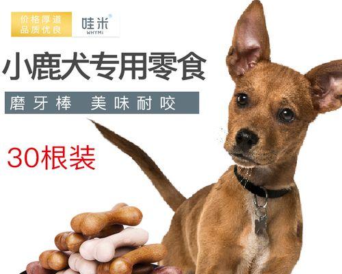 狗狗都爱吃什么零食？如何选择健康的狗狗零食？