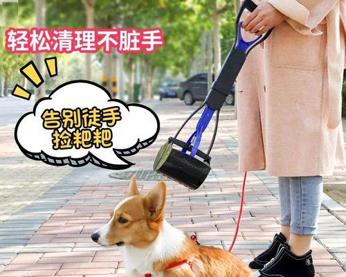 狗狗粪便检查多少钱？如何在家进行初步检测？