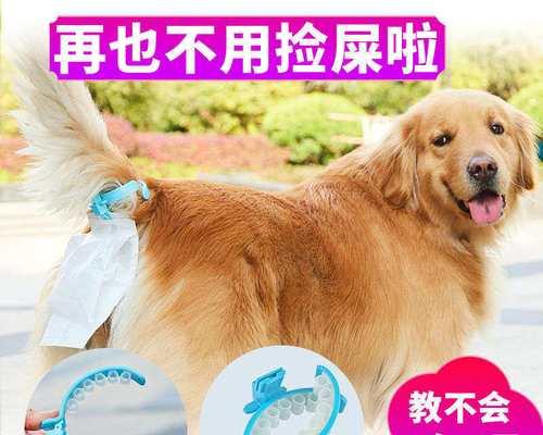 狗狗粪便检查多少钱？如何在家进行初步检测？