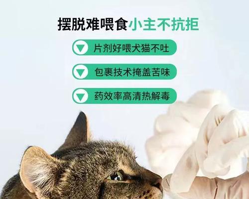 狗狗感冒了应该打什么针？常见感冒症状及处理方法是什么？