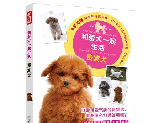 狗狗骨折手术需要多少钱？术后护理有哪些注意事项？