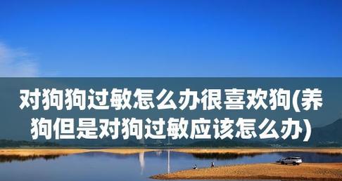 狗狗过敏能自己好吗？如何识别和处理宠物过敏症状？