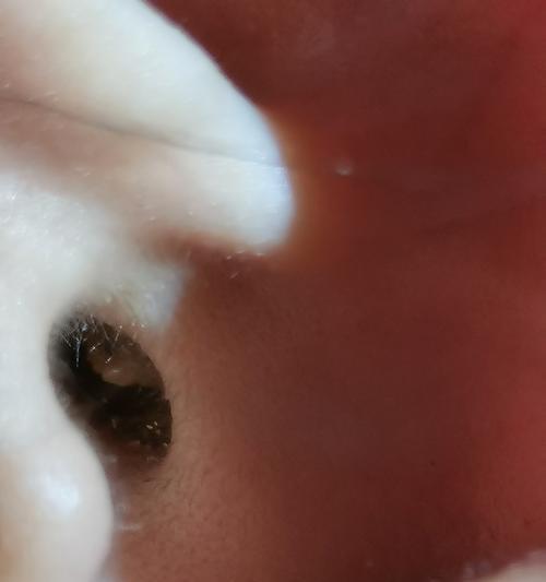狗狗耳屎过多怎么办？有效清理方法有哪些？