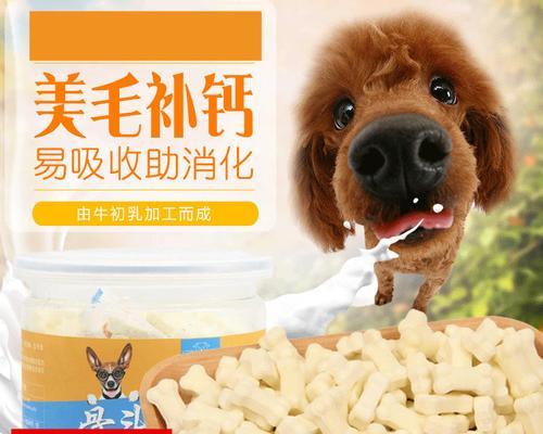 狗狗喝了牛奶会吐吗？如何处理宠物牛奶不耐受？