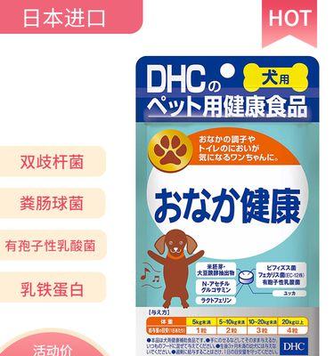 狗狗便秘检查费用是多少？如何预防和治疗？