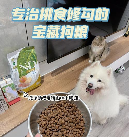 狗狗减肥狗粮有什么特点？如何选择适合的减肥狗粮？