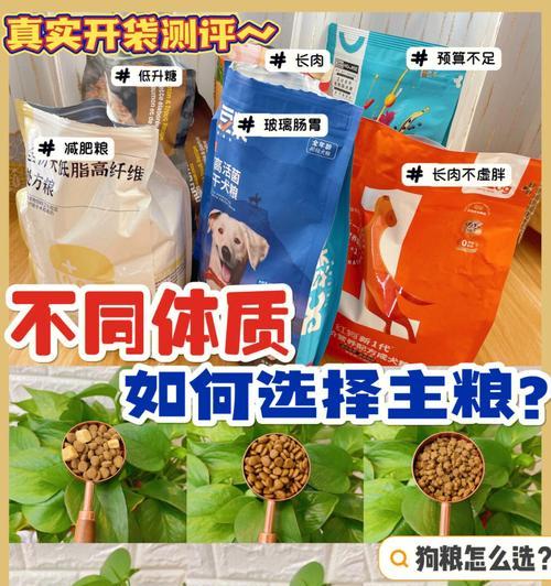 狗狗减肥狗粮有什么特点？如何选择适合的减肥狗粮？