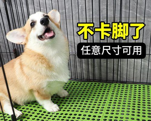 狗狗脚垫毛需要剪吗？多久修剪一次合适？