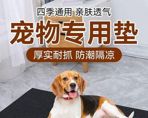 狗狗脚垫起泡了怎么办？如何快速处理和预防？