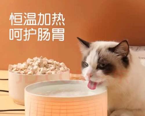 狗狗颈椎病怎么确诊？需要做哪些检查和诊断步骤？