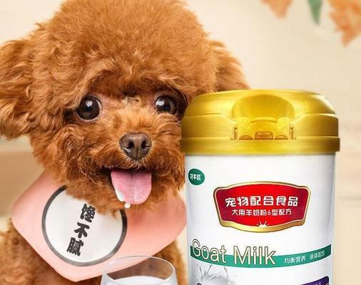 狗狗可以天天喝粥吗？长期食用粥对狗狗健康的影响是什么？