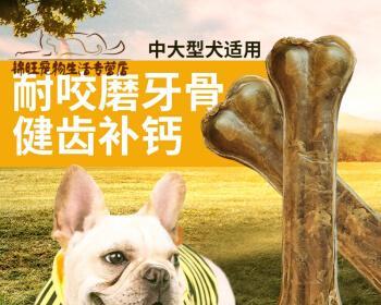 狗狗咬大骨头安全吗？需要注意什么？
