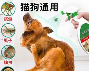 狗狗拉虫子用什么药？如何安全有效地驱虫？