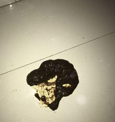 狗狗便血是什么原因？如何处理？