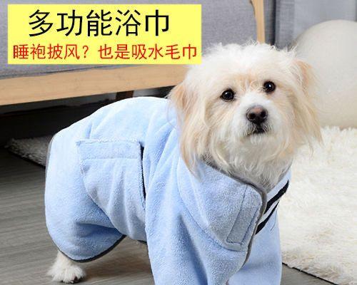 狗狗拉屎很干黑颜色是怎么回事？可能的原因有哪些？