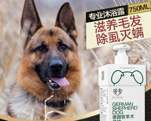 狗狗拉屎后怎么除臭？有效去除宠物异味的方法是什么？