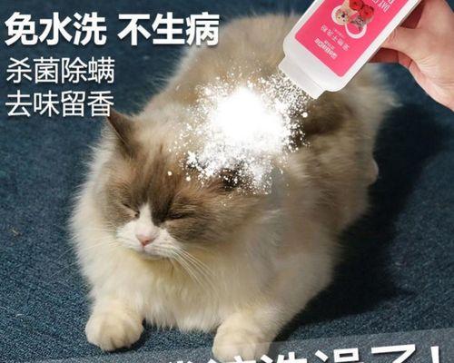 狗狗拉屎后怎么除臭？有效去除宠物异味的方法是什么？