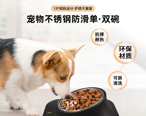 狗狗来月经期间的喂养方法是什么？需要注意哪些事项？