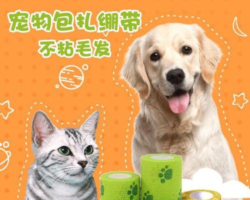 狗狗老挠地是怎么回事？可能的原因和解决方法是什么？