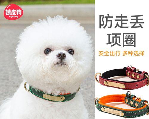 狗狗老死前为什么叫？临终前的犬类行为解析？