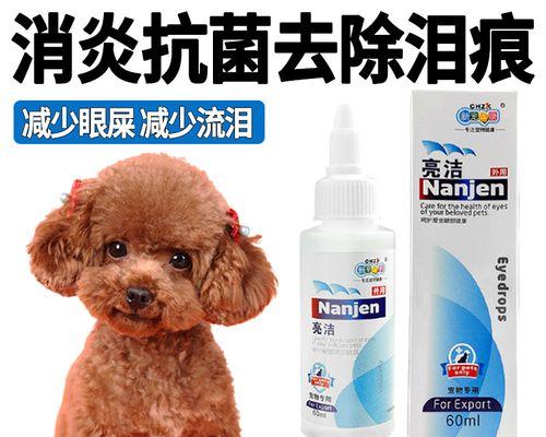狗狗泪痕和嘴巴周围怎么处理？常见原因及解决方法是什么？