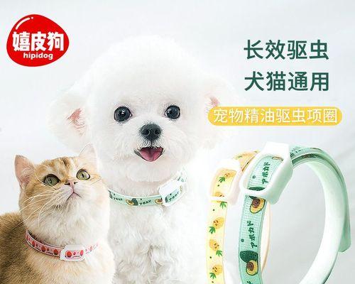 狗狗没驱虫会拉血吗？如何预防和处理？