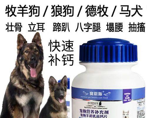 狗狗趴蹄了怎么办？治疗和预防方法有哪些？