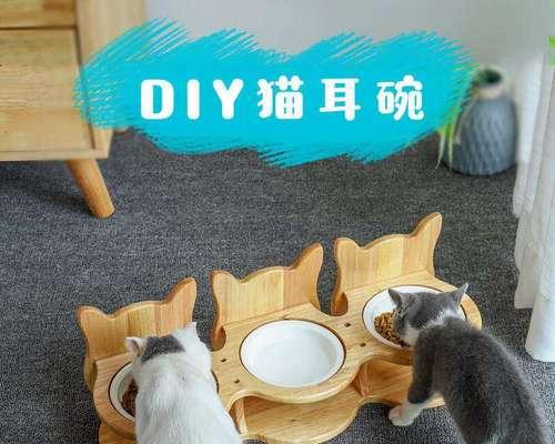 狗狗配狗后多久能洗澡？需要注意什么？