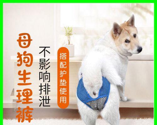 狗狗配种怎样算完成？配种后需要注意哪些事项？