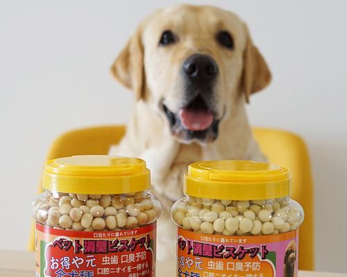 狗狗秋冬吃什么蔬菜？哪些蔬菜对狗狗健康有益？