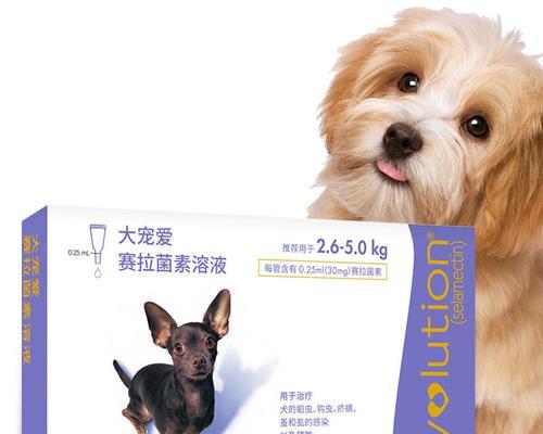 狗狗驱虫多久起作用？驱虫后需要注意哪些事项？