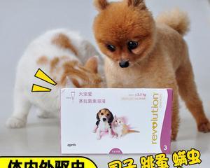 狗狗驱虫多久起作用？驱虫后需要注意哪些事项？