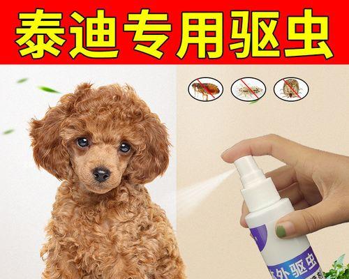 狗狗驱虫注意什么好？如何安全有效地进行宠物驱虫？