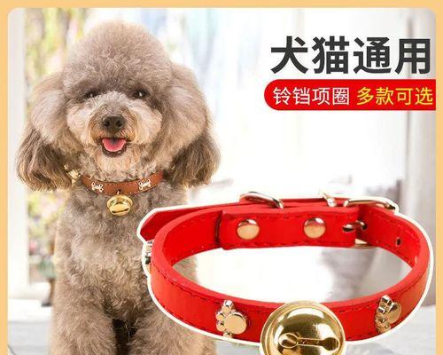 狗狗驱虫一次多少钱？如何选择合适的驱虫服务？